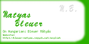matyas bleuer business card